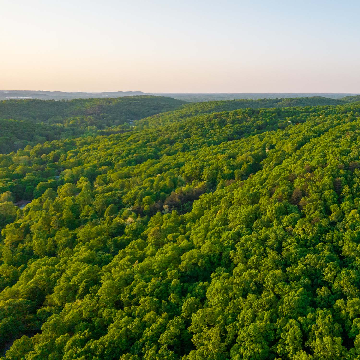 Trees Lanscape Aerial Sunset