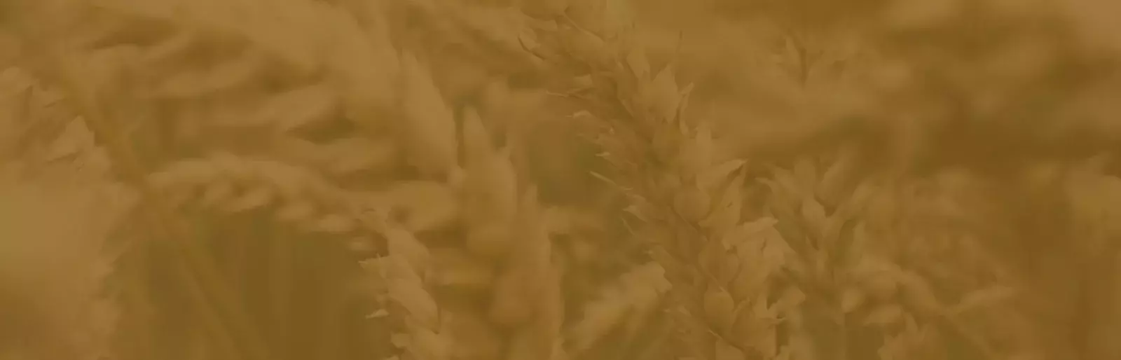 American Single Grain Malt Whisky Clermont Steep