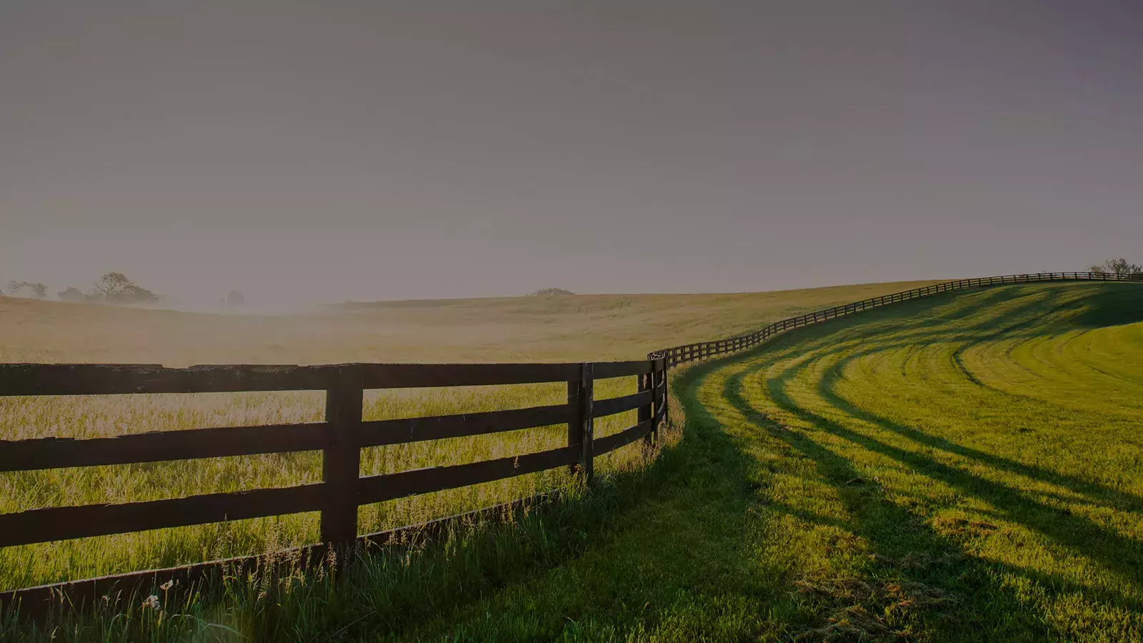 A bright, rolling green pasture scene typical of Kentucky, divided by a long, curved dark wooden fence stretching into the distance Whisky Hardin's Creek.