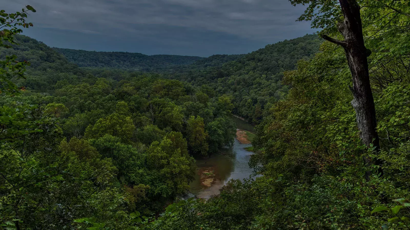 A dense, green, tree-covered valley with a winding river visible through the foliage under a dark, cloudy sky Whisky Hardin's Creek.