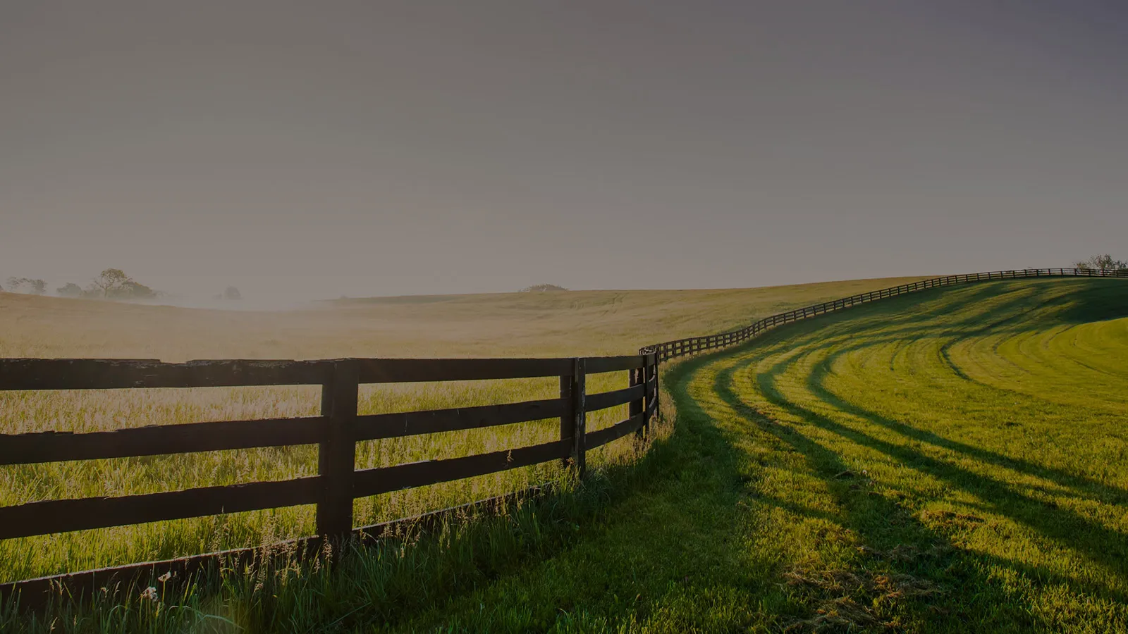 boston-whisky-hardins-creek