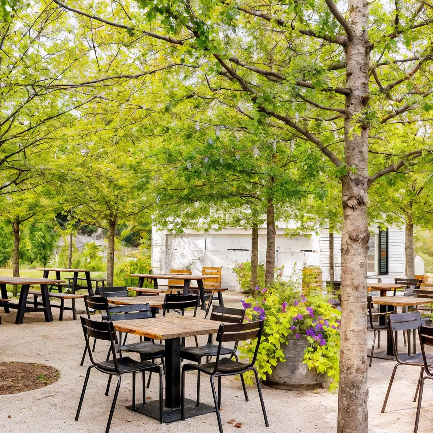 Casual outdoor seating with picnic tables and trees in the James B Beam Distilling courtyard